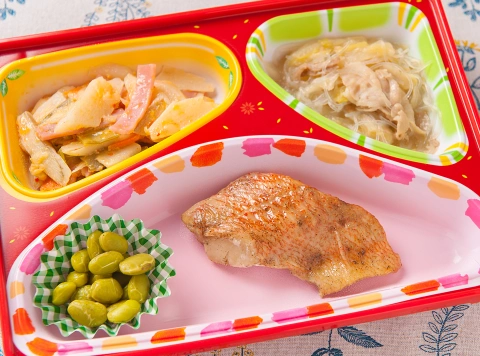 透析食